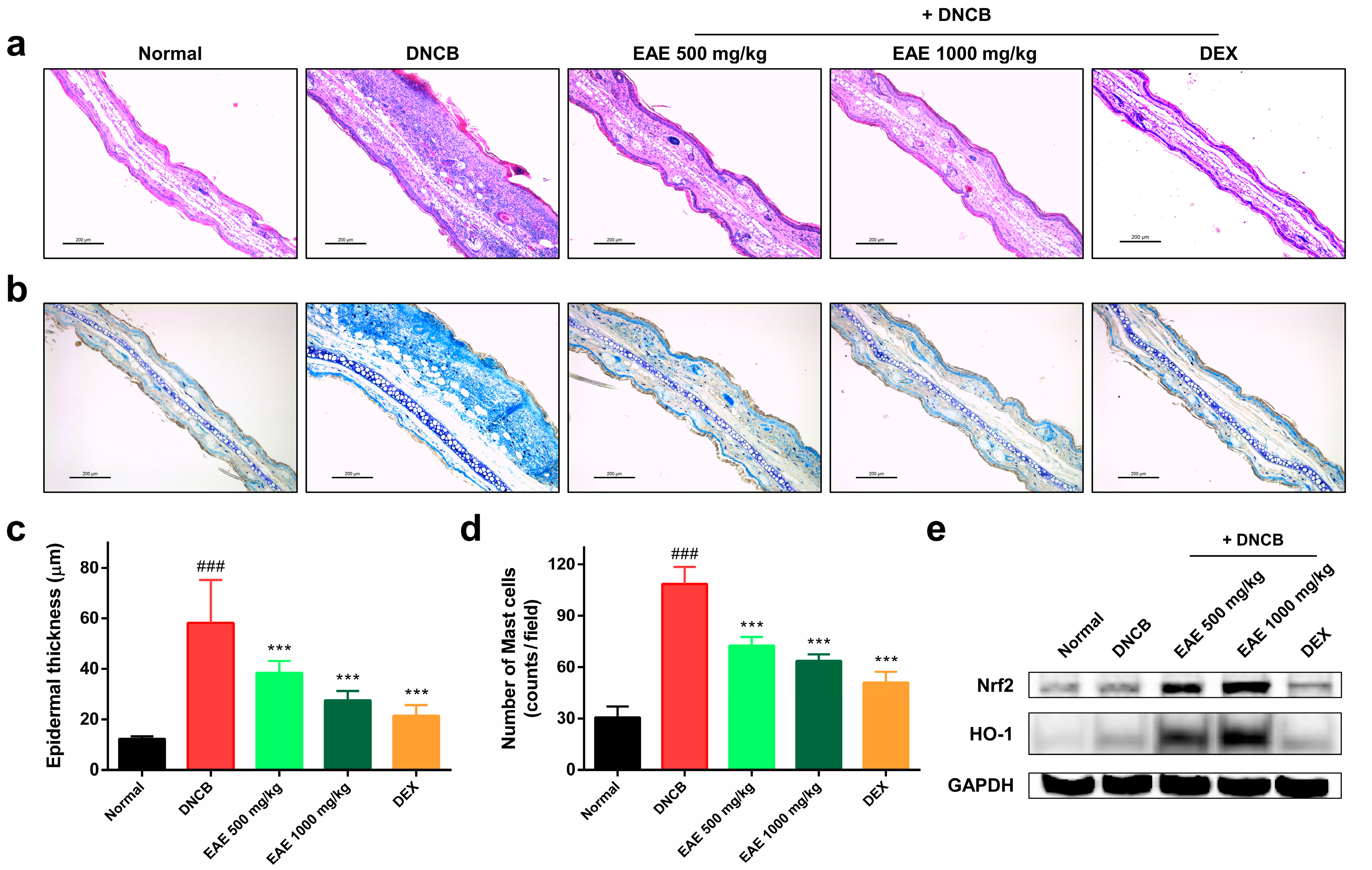 Nutrients 16 00451 g005