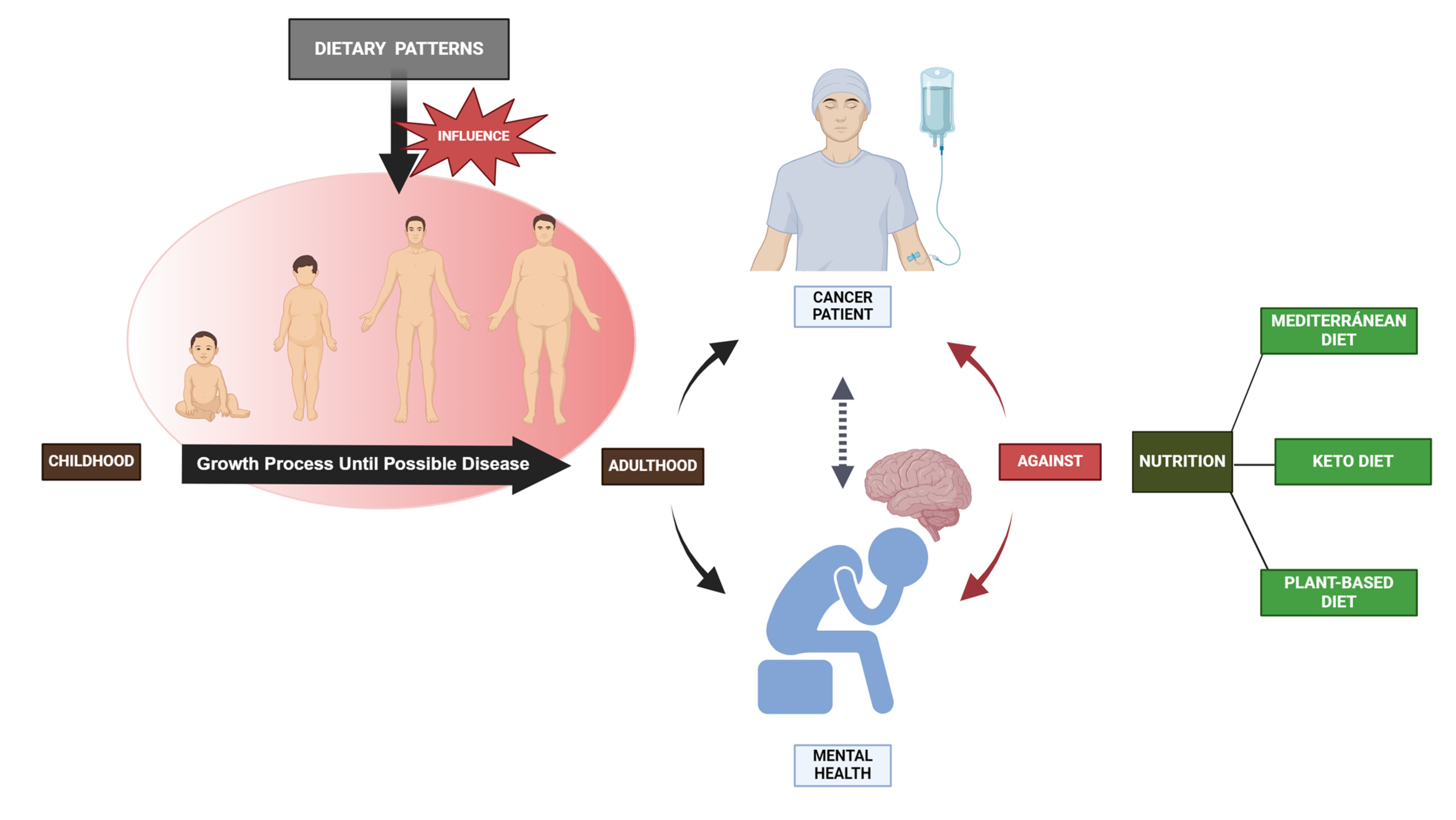 Nutrients 16 00571 g003 Nutrients 16 00571 g003