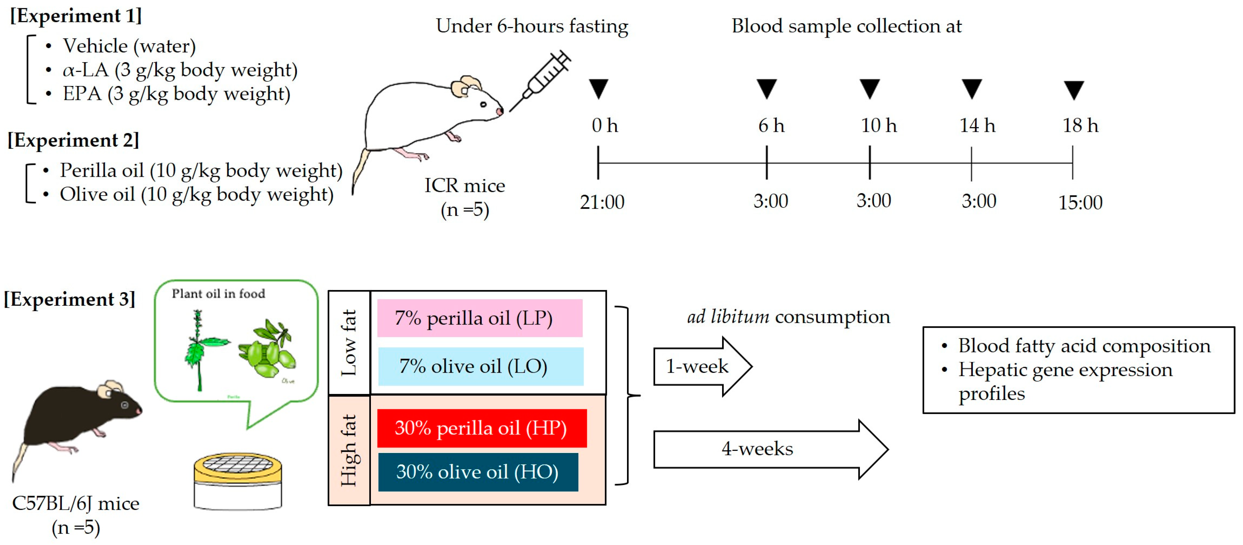 Nutrients 16 01407 g001
