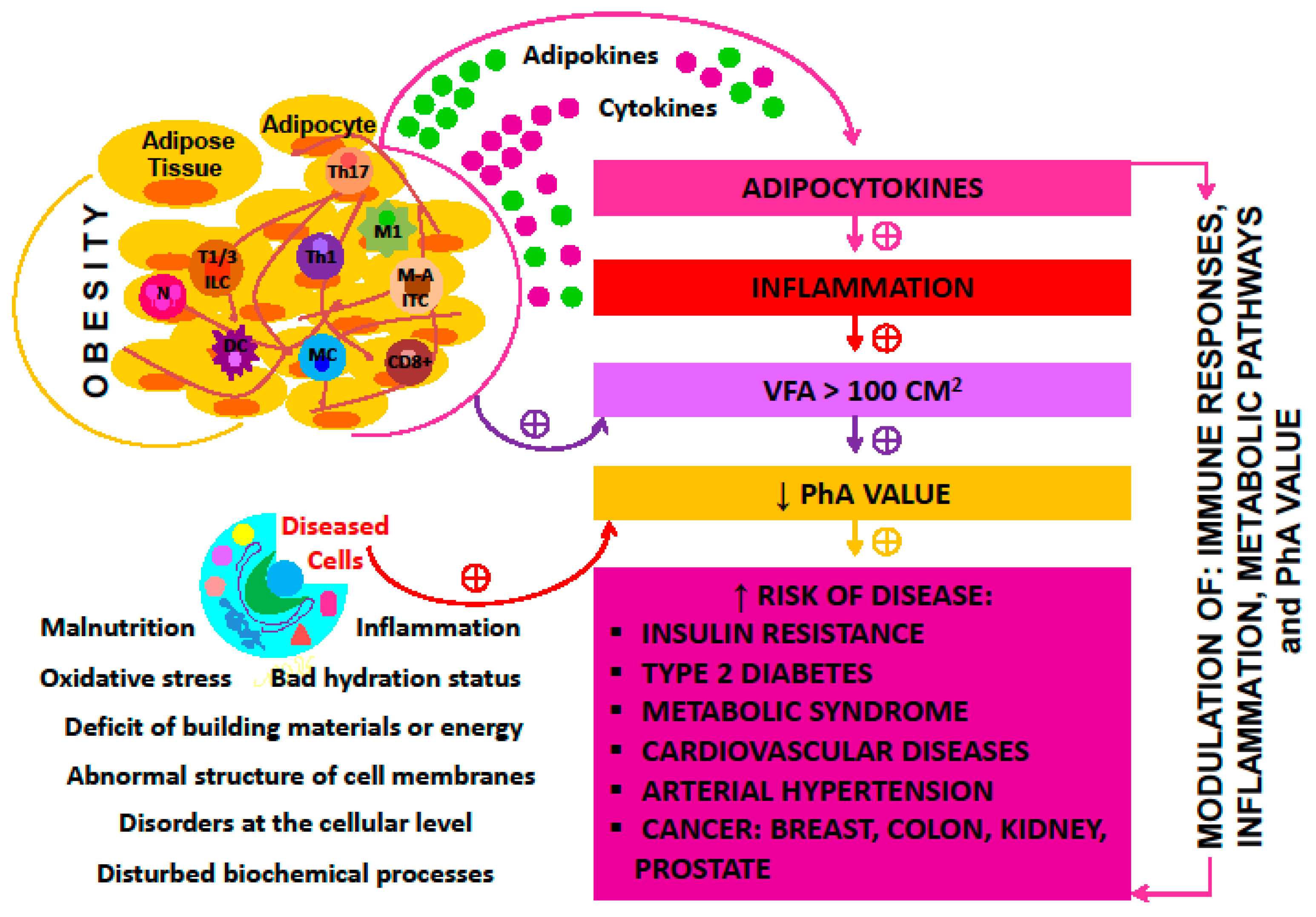 Obesities 05 00061 g001 Obesities 05 00061 g001