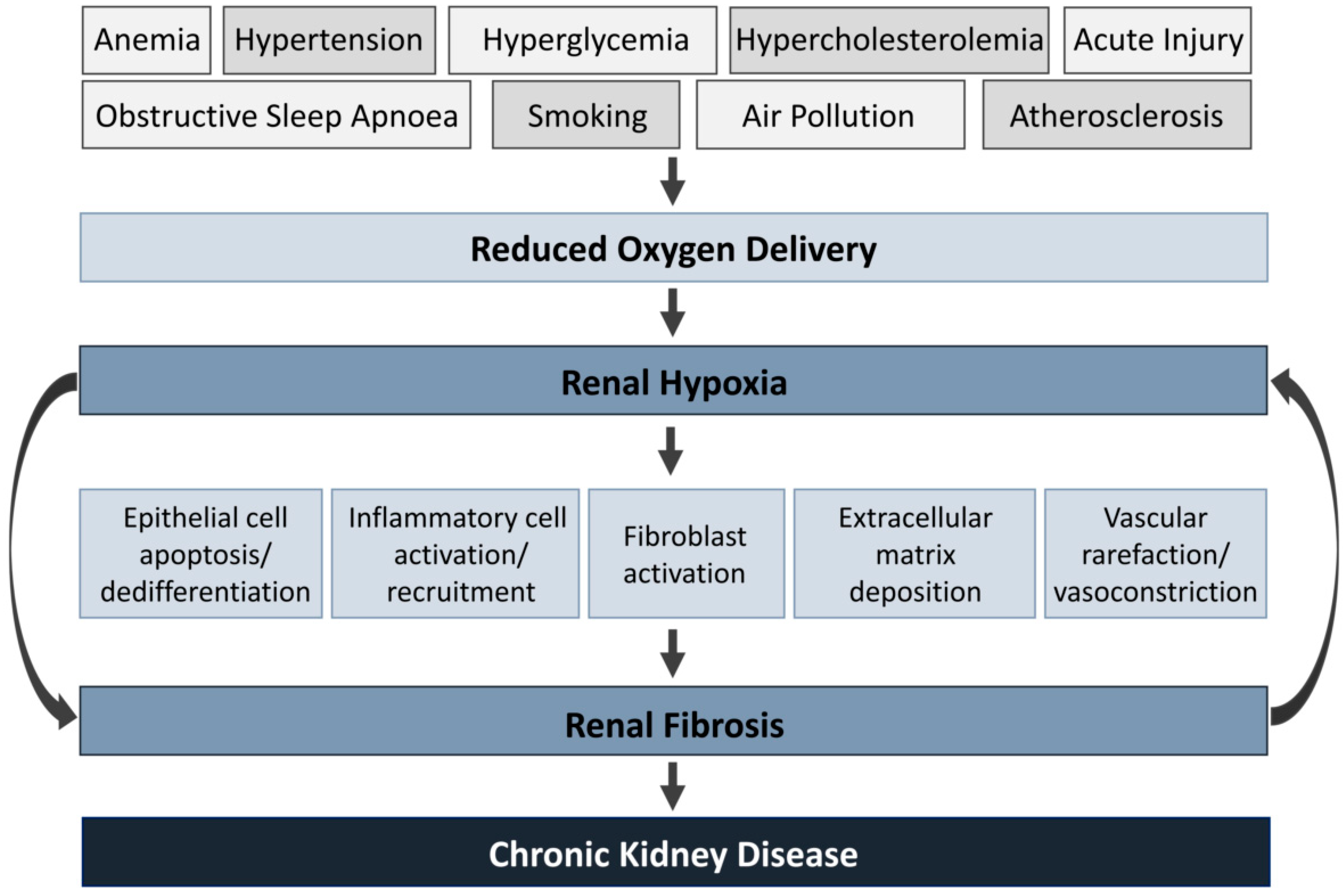 Oxygen 03 00020 g001