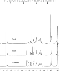 Pathogens 01 00012 g003 200