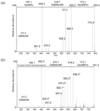 Pathogens 01 00012 g004 200