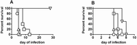 Pathogens 01 00012 g006 200