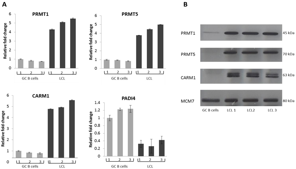 Pathogens 01 00052 g003 1024