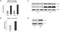 Pathogens 01 00052 g005 200