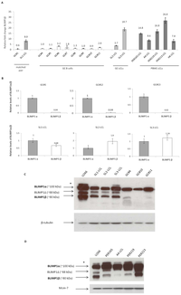 Pathogens 01 00083 g001 200