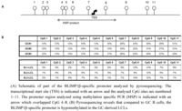 Pathogens 01 00083 g002 200