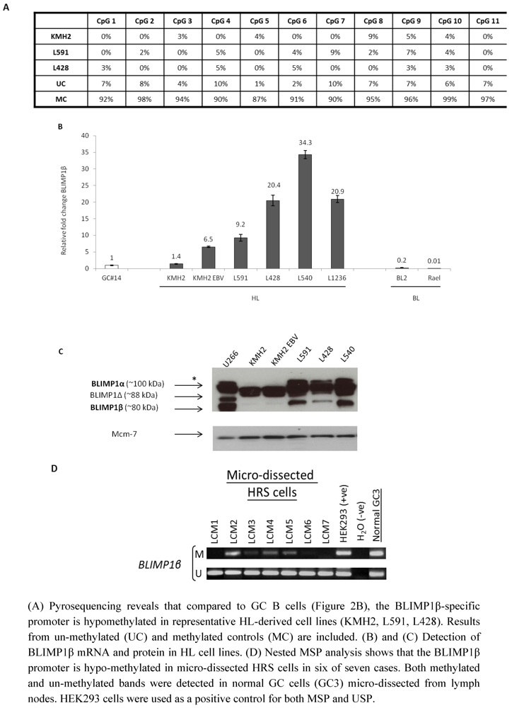 Pathogens 01 00083 g003