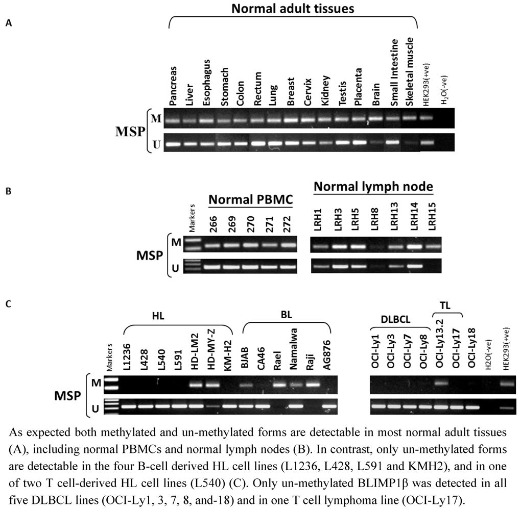 Pathogens 01 00083 g004