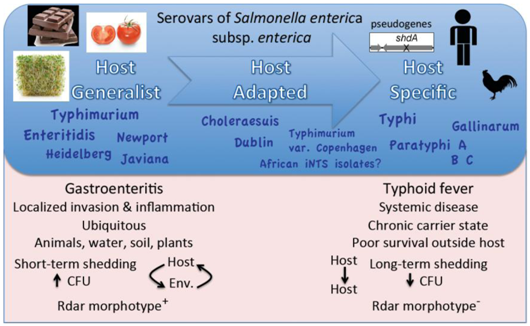 Pathogens 01 00128 i001