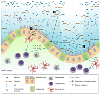 Pathogens 02 00055 g001 200