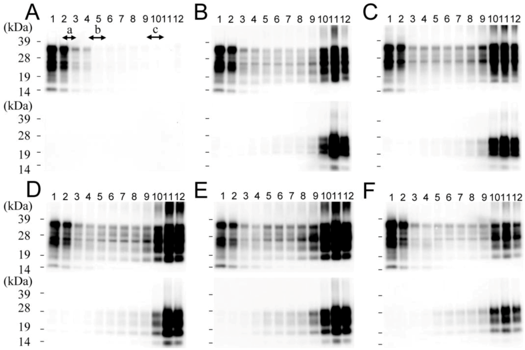Pathogens 02 00092 g001 1024