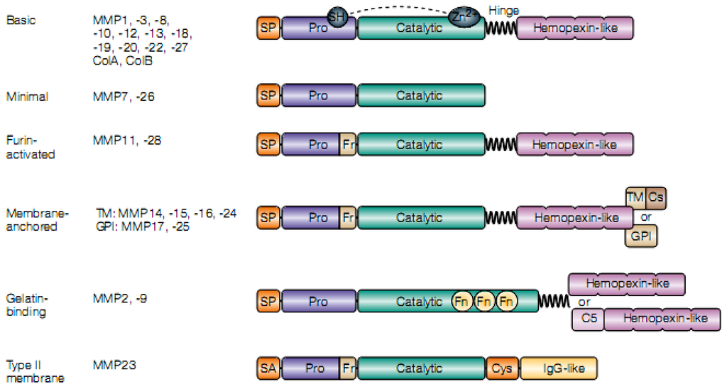 Pathogens 02 00105 g001 1024