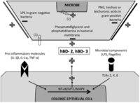 Pathogens 02 00177 g001 200
