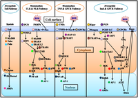 Pathogens 02 00209 g001 200