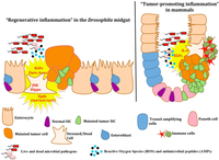 Pathogens 02 00209 g003 200