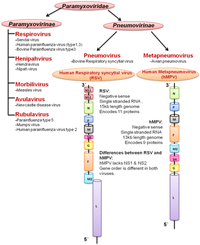 Pathogens 02 00232 g001 200