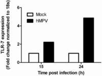 Pathogens 02 00232 g003 200