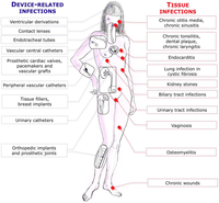 Pathogens 02 00288 g001 200