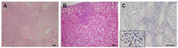 Pathogens 02 00357 g002 200