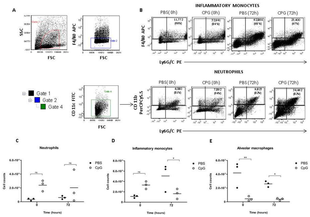 Pathogens 02 00383 g004 1024