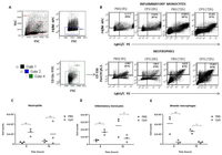 Pathogens 02 00383 g004 200