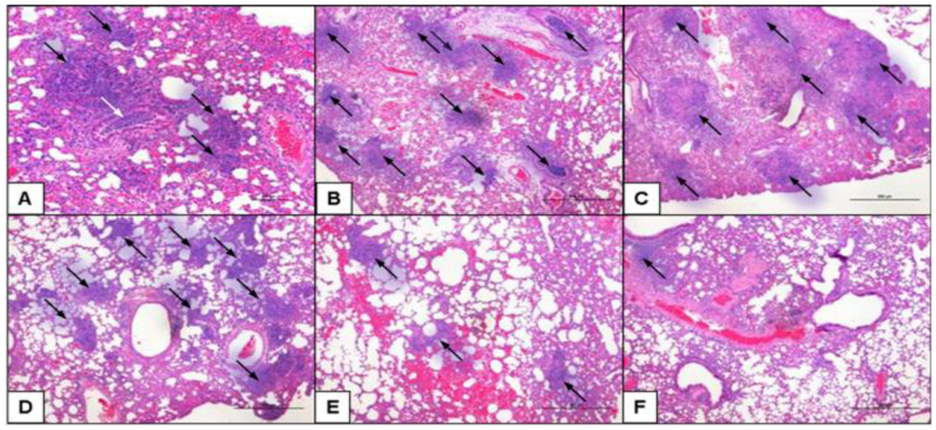 Pathogens 02 00383 g005 1024