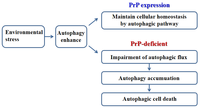 Pathogens 02 00436 g003 200