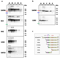 Pathogens 02 00446 g002 200