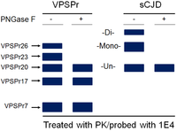 Pathogens 02 00457 g002 200