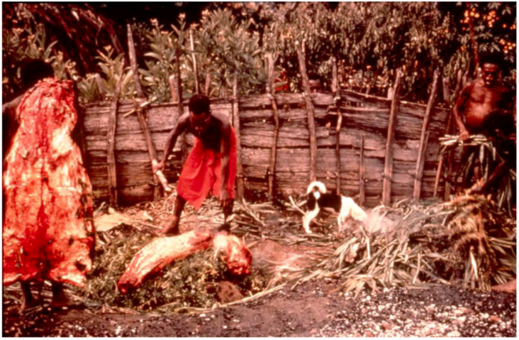 Pathogens 02 00472 g003 1024