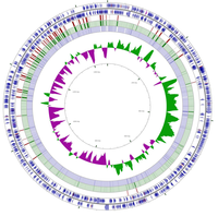 Pathogens 02 00544 g001 200