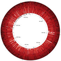Pathogens 02 00544 g002 200