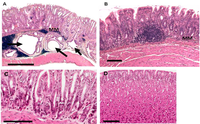 Pathogens 02 00571 g002 200