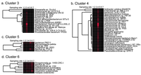 Pathogens 02 00591 g005 200