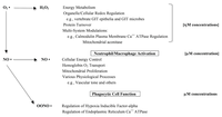 Pathogens 02 00606 g001 200