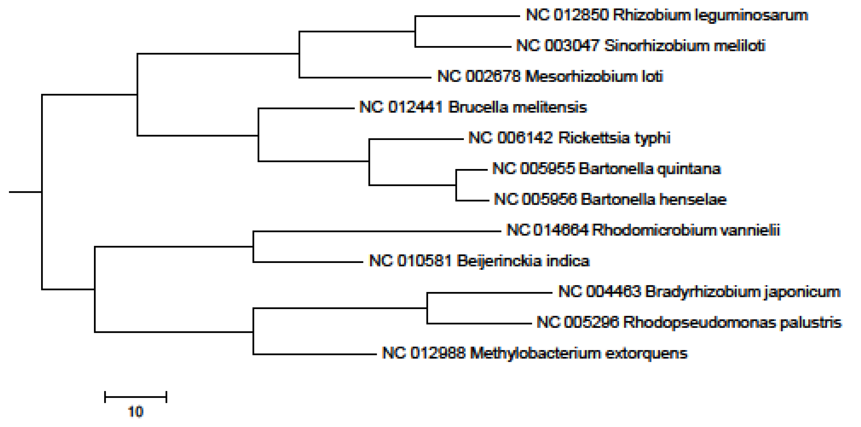 download mucins methods and