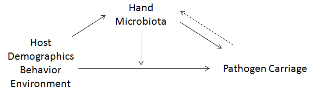 Pathogens 03 00001 g001 1024