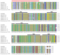 Pathogens 03 00025 g004 200