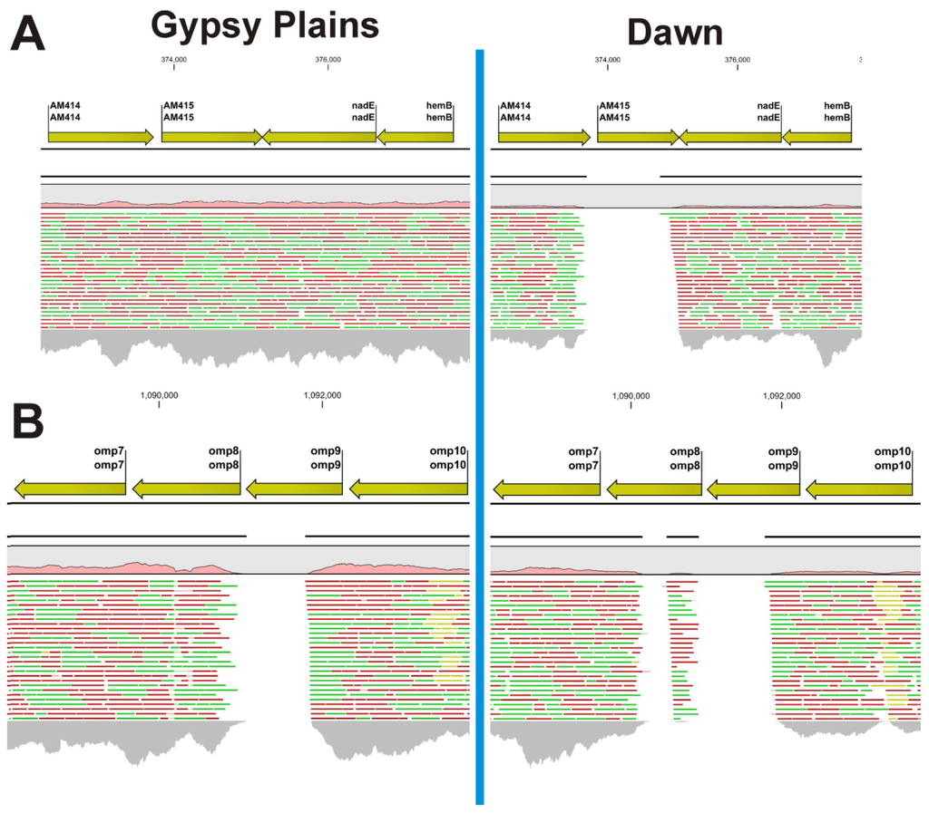 Pathogens 03 00057 g002 1024