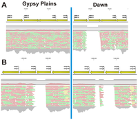 Pathogens 03 00057 g002 200