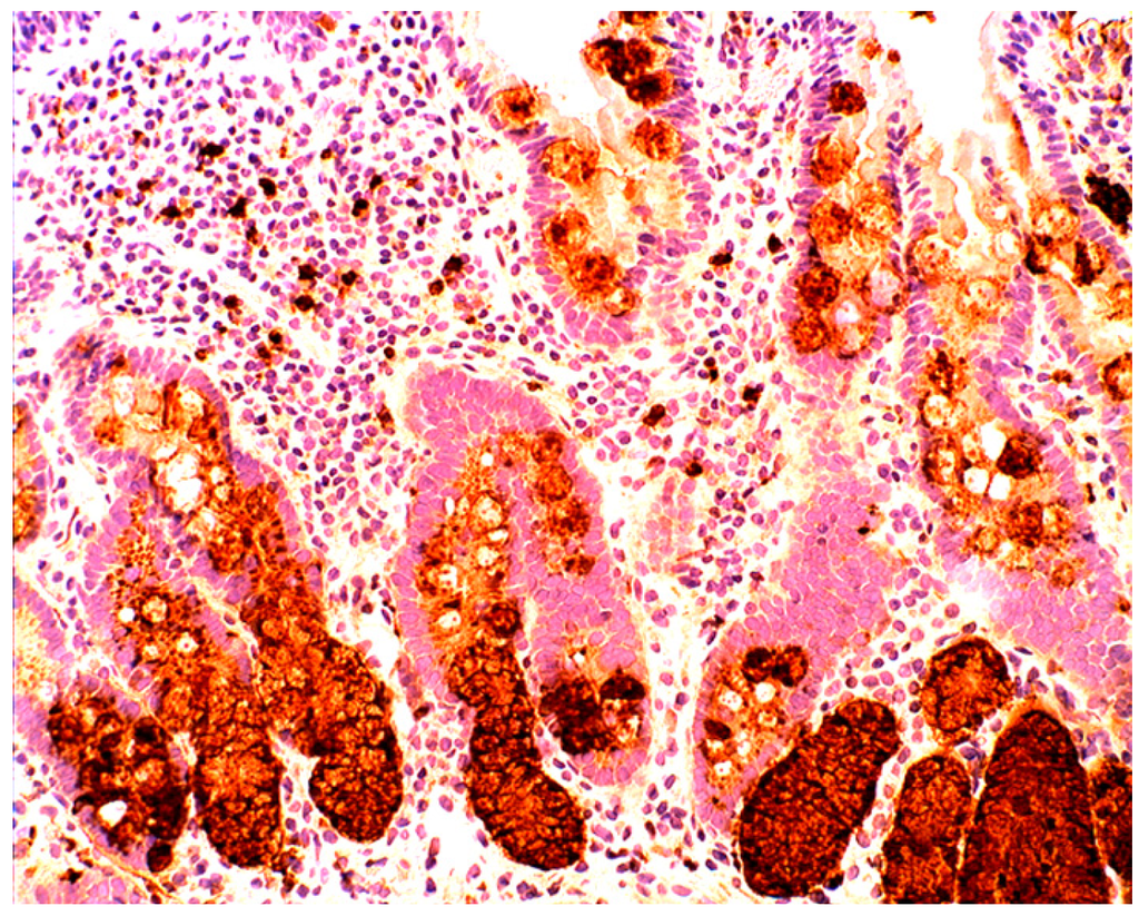 Pathogens 03 00073 g009 1024