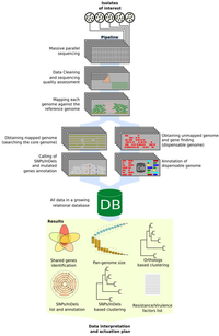 Pathogens 03 00093 g002 200