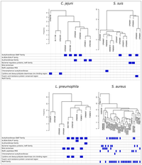 Pathogens 03 00093 g004 200