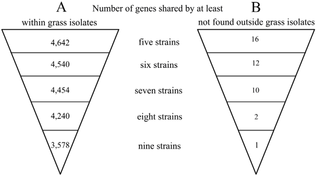 Pathogens 03 00121 g002 1024