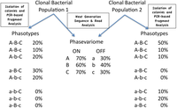 Pathogens 03 00164 g001 200