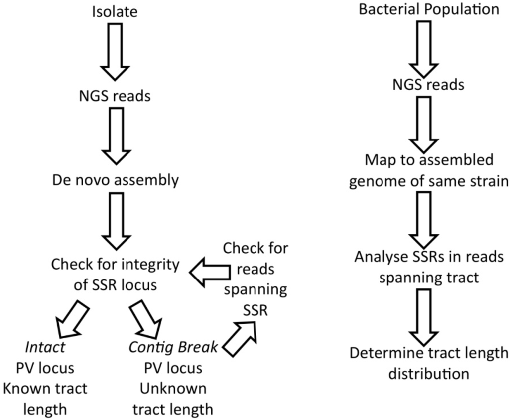 Pathogens 03 00164 g002 1024