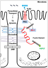 Pathogens 03 00187 g001 200