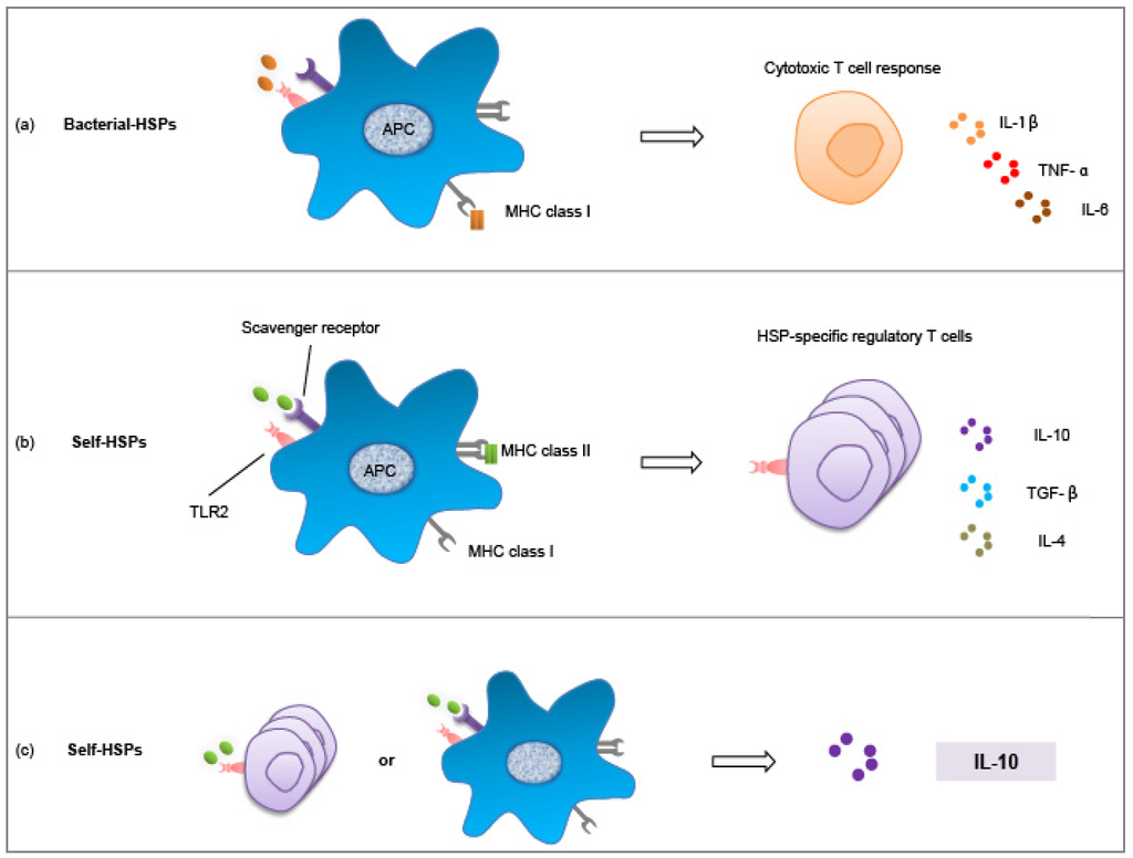 Pathogens 03 00187 g002 1024